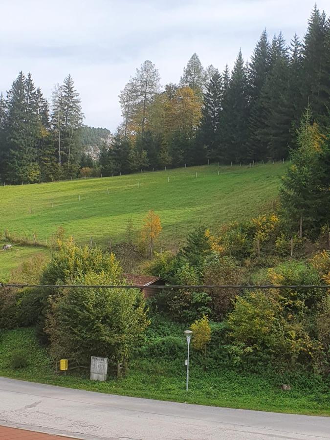 Gasthaus Blunzenwirt Daire Breitenstein Dış mekan fotoğraf